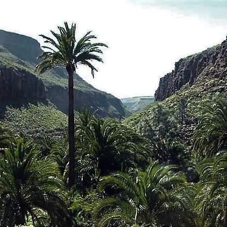 Canarian With Pool 27c, Lovely Patio And Parking Villa *